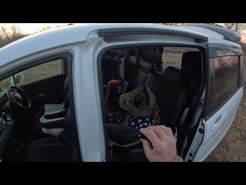 Видео: Охота на косулю 2024.С полем🔥.#тепловизор#hunting#дичь#охота#deer#косуля