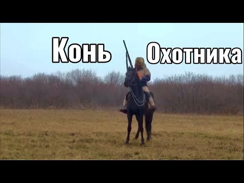 Видео: Какого коня брать под охоту? | Александр Обжерин