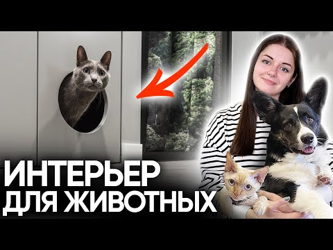 Видео: ГЛАВНЫЕ СОВЕТЫ ПО ИНТЕРЬЕРУ В КВАРТИРЕ С ЖИВОТНЫМИ