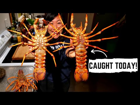 Видео: ЛУЧШИЕ В МИРЕ РАКИ и ПАУА в Вайрарапе, Новая Зеландия | Гастрономический тур по Новой Зеландии