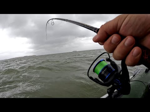 Видео: СУДАК НА ВИБЫ!!! ОСЕННИЙ КЛЁВ СУДАКА!!! ВСЯ РЫБА ПОЙМАНА С ОДНОЙ ПОСТАНОВКИ. ОСЕННЯЯ РЫБАЛКА 2023