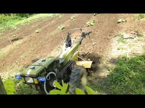 Видео: Дизельный мотоблок  Работа фрезой