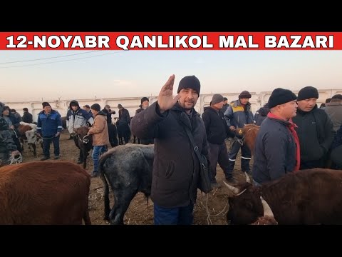 Видео: 12-НОЯБРЬ/КАНЛЫКОЛ МАЛ БАЗАРЫ/СКОТНЫЙ РЫНОК/BUQALAR/BIG BULLS IN THE WORLD/BIG COW