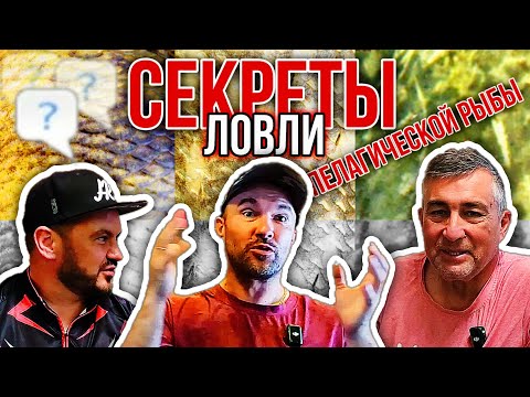 Видео: Секреты пелагической ловли. Как поймать трофей?