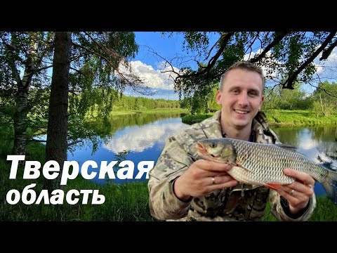 Видео: Рыбалка в Тверской области / Красивая Река / Отдых с Палатками / Ловля на спиннинг часть 1