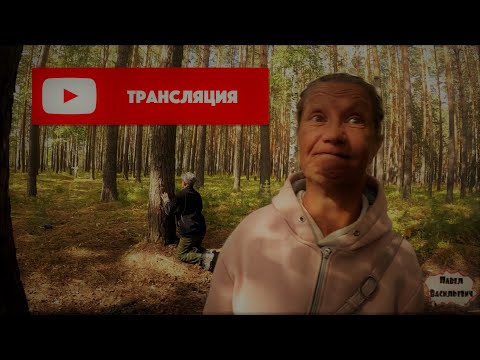 Видео: БЕЗДОМНЫЕ В ПРЯМОМ ЭФИРЕ / 459 серия (18+)