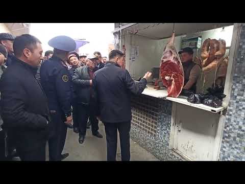 Видео: НООКАТТА ДА ТАЗАЛОО БАШТАЛДЫБЫ? 😳😱😳 ЖАНЫ АКИМ ЭТ БОЮНЧА КАТУУ ЭСКЕРТУУ БЕРДИ