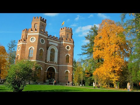 Видео: 🍂Золотая осень в Царском Селе・🍁Пригороды・Прогулка по Питеру・Санкт-Петербург・СПб・Алексей Михайлов