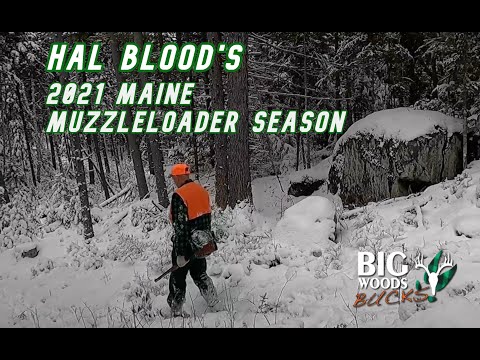 Видео: Сезон дульнозарядного оружия Хэла Блада в штате Мэн в 2021 году