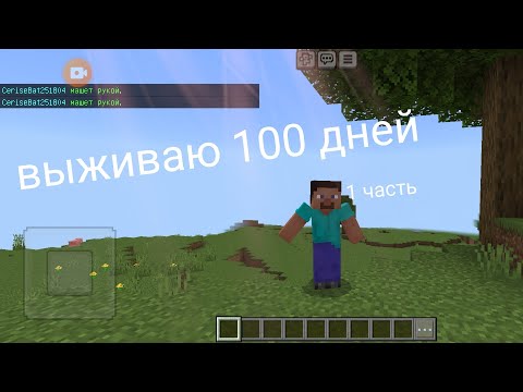 Видео: выживаю 100 дней в майнкрафте#1 часть#