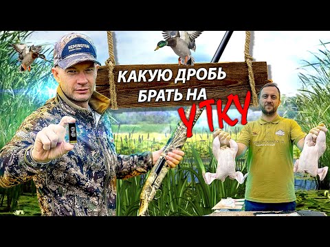 Видео: Какую дробь использовать на утку. Дробь 3, 5 или 7. ТЕСТ. Лучшая дробь на утку 12 калибра.