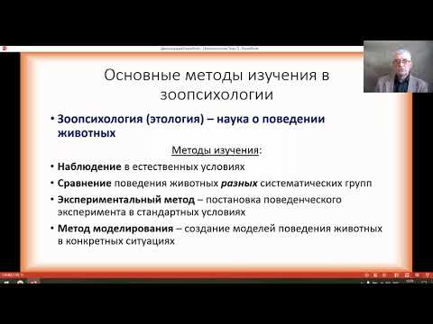 Видео: Зоопсихология 1, Предмет, задачи и методы зоопсихологии, Хандожко И И