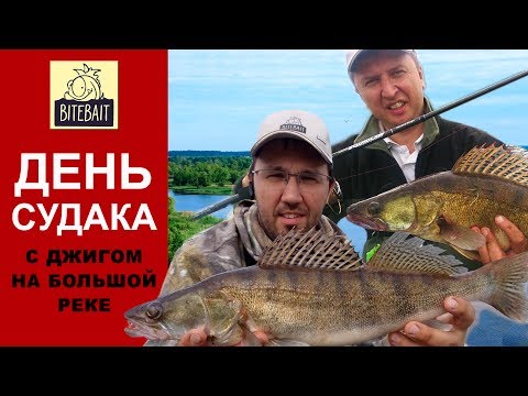 Видео: ЛОВЛЯ СУДАКА НА ДЖИГ на большой реке.  Отличный клёв судака! Как найти судака на реке.