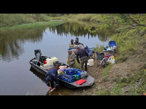 Видео: ТАЕЖНЫЕ РЕКИ | ПРИПОЛЯРНЫЙ УРАЛ | ЧАСТЬ ВТОРАЯ | ПУТЕШЕСТВИЕ И РЫБАЛКА