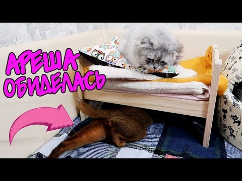 Видео: СЛАДУН И АРЕША НЕ ПОДЕЛИЛИ ДНЕВНИКИ! ССОРА ПЕРЕД ШКОЛОЙ