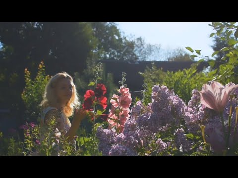 Видео: Август любимый. Часть I | Велопрогулка | Гроза | Бабушкин пирог