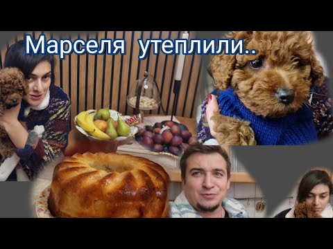 Видео: Вкусно ,Быстро заливной Пирог./ Обновка для Марселя!