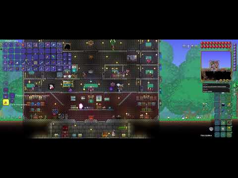 Видео: Малышариковый соло-эксперт #8