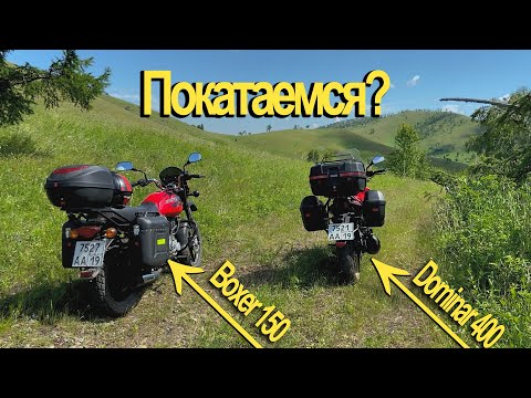 Видео: Bajaj Boxer и Bajaj Dominar 400. Через тернии к асфальту.
