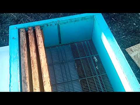 Видео: Как перейти с 300 на 145 и обратно