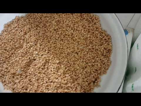 Видео: Гидропоника ның тағы жалғасы