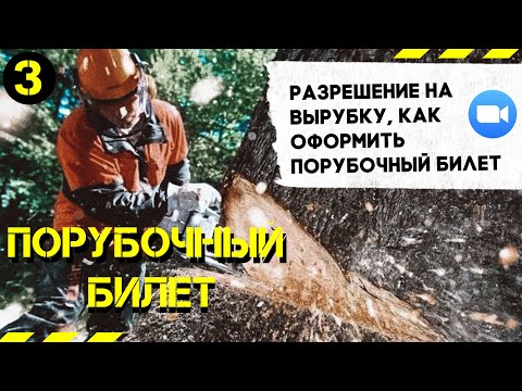 Видео: Порубочный билет. В каких случаях нужен. Разрешение на вырубку. Как оформить порубочный билет