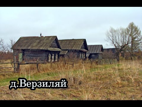 Видео: ЗАБРОШЕННАЯ ТАТАРСКАЯ ДЕРЕВНЯ В ПЛОДОРОДНЫХ ЗЕМЛЯХ. Рядом город, но люди ушли оставив всё.