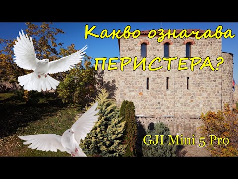 Видео: Гълъб над Пещера / Перистера