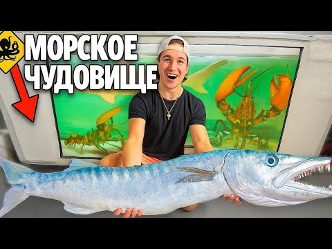 Видео: Ловля морских монстров и диких аквариумных рыб для моего морского аквариума с лобстерами!
