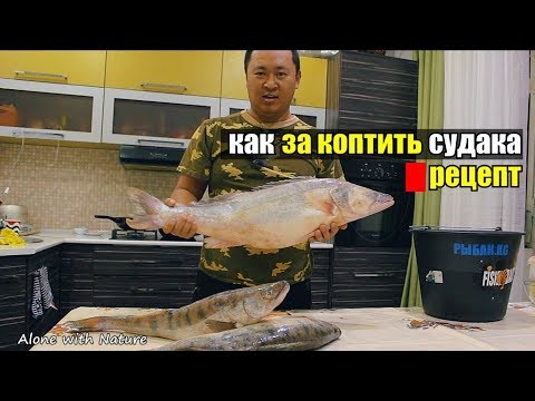 Видео: Холодное копчение рыбы. Как закоптить судака рецепт.
