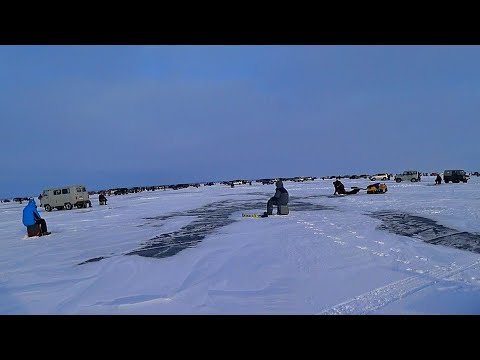 Видео: ВОТ и НАШЛИ ЕГО! СТРАШНО ПОЙМАТЬ,а ТО СНЕСУТ!!! ОГРОМНАЯ ТОЛПА РЫБАКОВ ЛОВИТ РЫБУ!