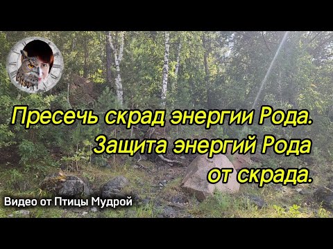 Видео: Как пресечь скрад энергий Рода. Как защитить энергии Рода от скрада.