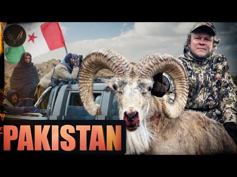 Видео: ГОРНАЯ ОХОТА НА СУЛЕЙМАНСКОГО МАРХУРА И АФГАНСКОГО УРИАЛА | ПАКИСТАН | ОХОТА С ДЕНИСОМ МОРОЗОВЫМ