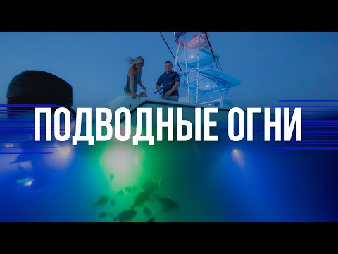 Видео: Подводные транцевые огни Aqua Idea