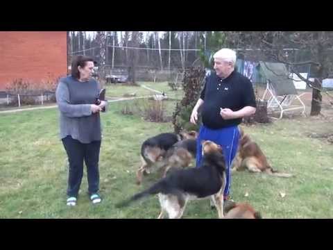 Видео: "А вы были на даче у Овечкина? Заходите в гости!". Часть II