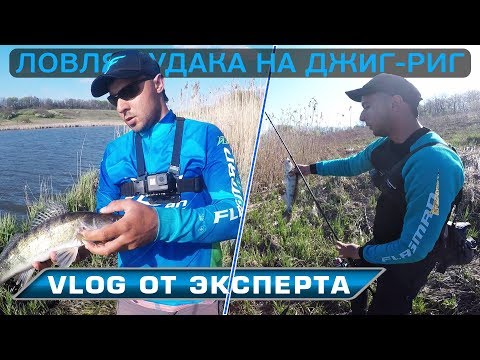 Видео: Спиннинговая рыбалка! Ловля судака на джиг риг! VLOG от братьев Билан!