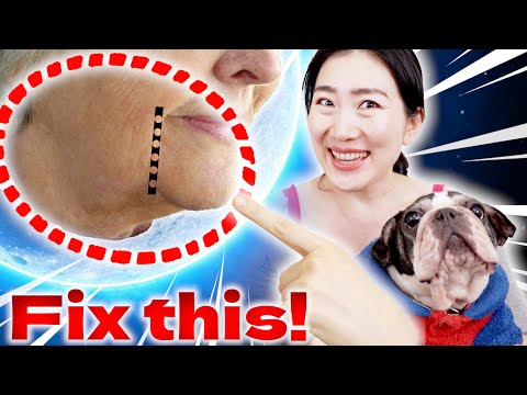 Видео: Исправьте морду бульдога за 14 дней! Удалите линию марионетки и укрепите линию подбородка