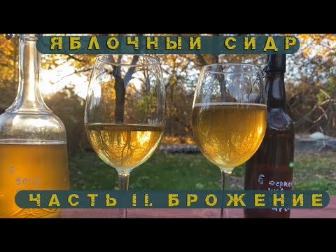 Видео: Яблочный сидр. Часть II. Брожение