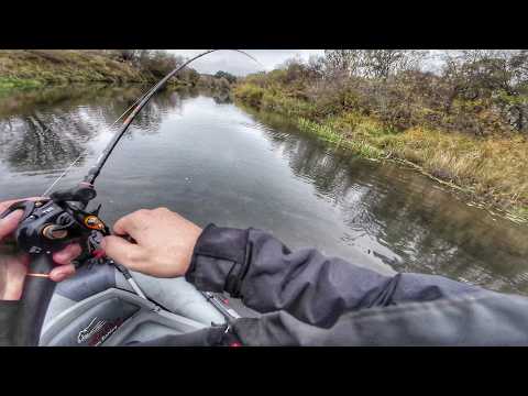 Видео: Поймал много рыб!  Рыбалка на малых реках с паноптикс. Ловля щуки на воблеры осенью!