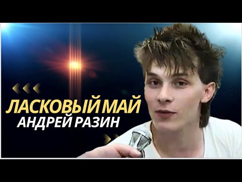 Видео: Ласковый май - самый лучший концерт группы !! LIVE Звук!