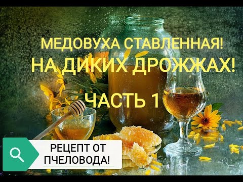 Видео: МЕДОВУХА СТАВЛЕННАЯ на ЗАБРУСЕ без ДРОЖЖЕЙ без КИПЯЧЕНИЯ весь процесс приготовления !