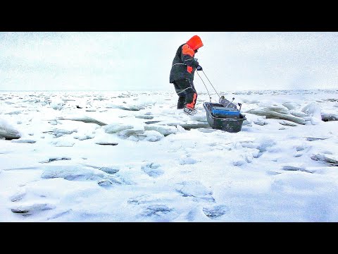 Видео: ЗАБРАЛИСЬ НА ТОРОСНОЕ ПОЛЕ И...! СИГИ, МАЙНЫ, СЕТИ!!! Рыбалка по первому льду 2025-2026г.