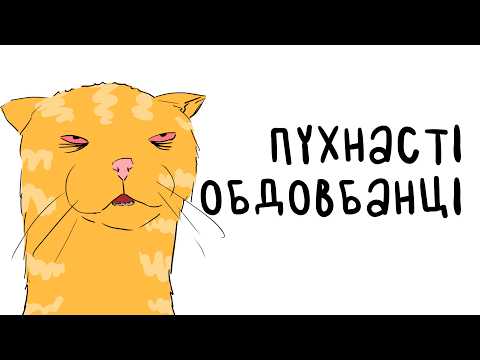 Видео: Дельфінячий Розкумар: Топ 10 Тварин-торчків