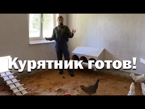 Видео: Дворец для кур готов // Утепление и заселение курятника