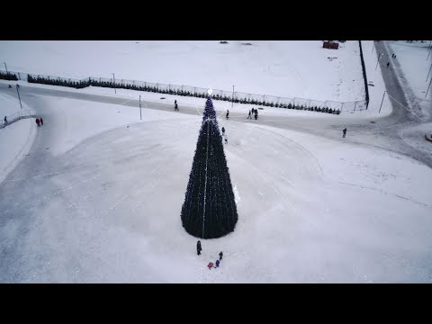 Видео: Полёт над Всеволожском. Песчанка. Январь 2021.