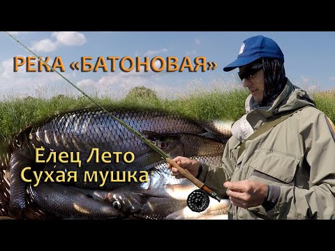 Видео: Река "Батоновая". Ловля Ельца Летом на сухие мушки на незнакомой реке.