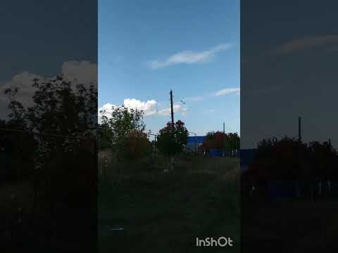 Видео: Светлана Хэкимова Эй гармун гармун...
