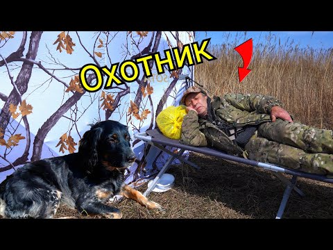 Видео: Это ОХОТА или не ОХОТА? Весенняя охота на уток с собакой Русский спаниель.