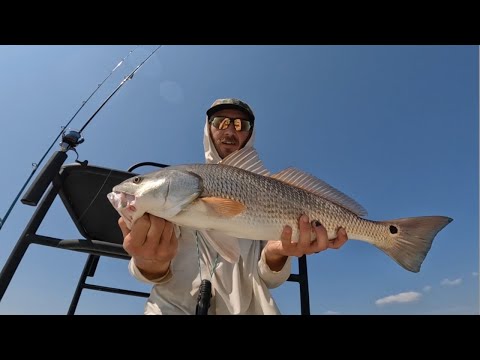 Видео: Рыбалка на красного барабанчика Topwater в Уилмингтоне, Северная Каролина | У меня есть лодка!