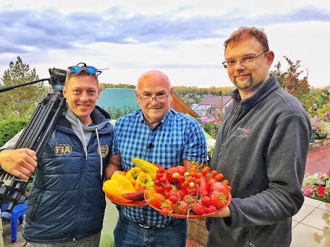 Видео: Дачные сезоны с Мариной Рыкалиной. Осенние работы на даче.